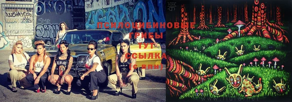 кокс Аркадак