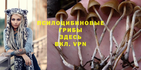 кокс Аркадак