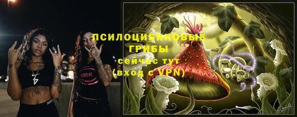 spice Саяногорск