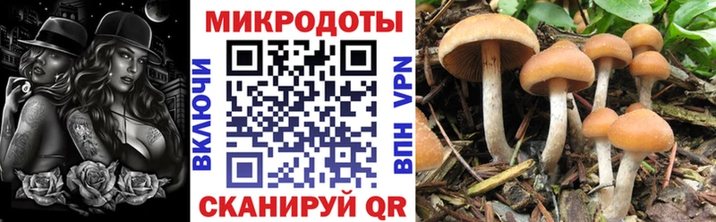 Галлюциногенные грибы ЛСД blacksprut сайт Солигалич